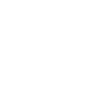 White bee Bluum logo