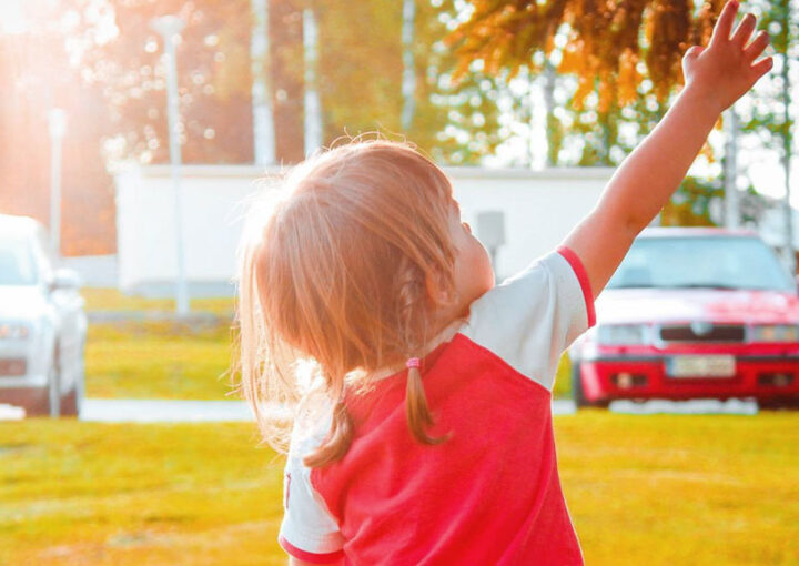 A little girl reaches towards a tree