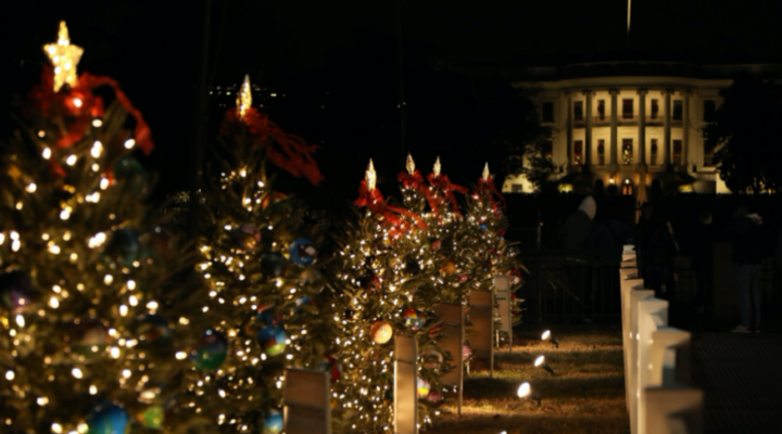Christmas Trees in front of Washington D.C