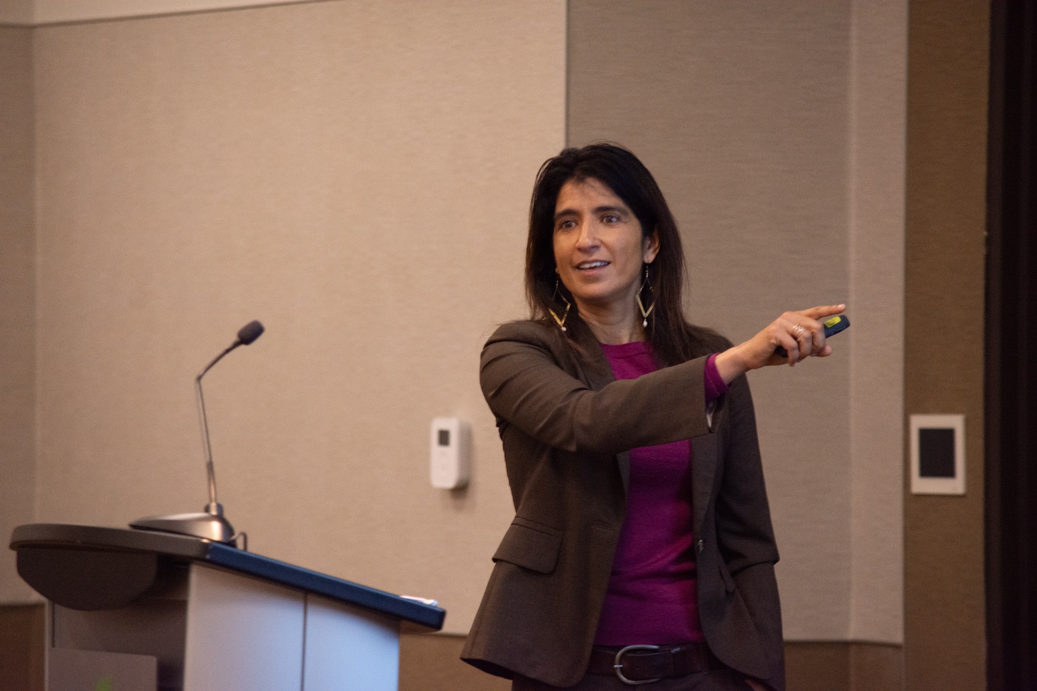 Partner at Civil Rights Solutions, Renita Thukral, speaks to the group of educators during a session. 